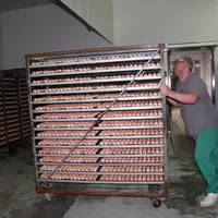 La réception des chariots d’incubation arrivant par semi-remorques du Finistère a été automatisée avant l'été 2023.