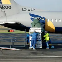 Embarquement de poussins destinés à l’exportation de génétique. L’embargo japonais perturbe surtout le foie gras (6 à 7 % des volumes nationaux) et ce