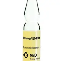 Le vaccin Innovax-ILT-IBD est disponible en ampoule de 2000 doses, conservée dans l'azote liquide.