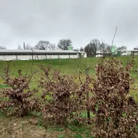 Ce poulailler label rouge émet des gaz à effet de serre et de l’ammoniac, mais il contribue aussi à la biodiversité, au stockage de carbone dans le so