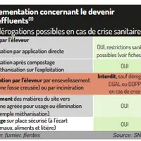 La gestion des effluents avicoles, une priorité sanitaire