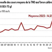 Le cours des œufs a explosé en 2023