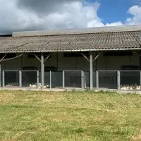 L’essai visant à tester des leviers susceptibles de réduire les réponses de peur des canards mulards a été réalisé sur le site expérimental de l’Inrae