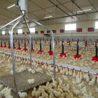 Le pilotage en temps réel des firmes services passe par l'exploitation des pesées dynamiques des animaux et de l'aliment.