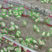 L'analyse des données des objets connectées par l'intelligence artificielle devrait booster les applications d'aide à la décision y compris dans les é