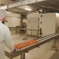 L'opérateur dépose le plateau à sexer. Les deux scanners d’IRM sont protégés dans un caisson pour assurer la sécurité du personnel et la propreté .