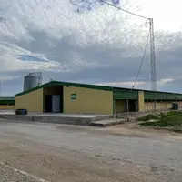 Sur le site d'élevage d'Enfidha de l'intégrateur Sopat, ces deux bâtiments de 1 400 m2 produisent du poulet sexé de 40 jours, destinés au marché intér