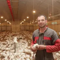 Passé du lait à la volaille, Emmanuel Rochelle n'envisageait pas de faire le saut vers une production de poulet conventionnel.
