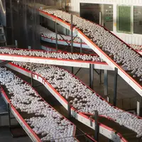 Avec 18 700 tonnes d’œufs coquille et 3 713 tonnes d’ovoproduits (en équivalent coquille) importés en moins de six mois, le frein d’urgence va être dé