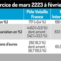 Tableau : Chiffres clés de LDC : exercice de mars 2223 à février 2024