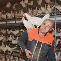 Jacky Allaire, du Gaec Le Grand Saut : « La poule blanche a un instinct de perchage et s’adapte facilement à l’élevage en volière. »