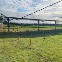 Le parcours de l'élevage de poulets Label rouge du Lot-et-Garonne est équipé de six ombrières Technique solaire de 2,1 MW de puissance.
