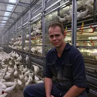 Evert Van Kruistum a investi 1,2 million d’euros dans un bâtiment en volière pouvant abriter 37 000 poulettes conventionnelles