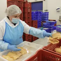Delpeyrat conserve un abattoir à Gibret (Landes) et une usine de transformation à Saint Pierre du Mont (40)