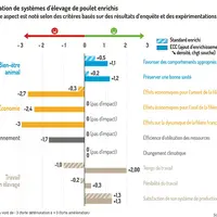 infographie comparant les impacts sur le bien-être, l'économie, l'environnement et le travail des poulets ECC et standard enrichi