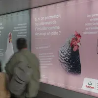 Au salon de l’agriculture de 2024. L’ambition du troisième plan de Sanders est de lutter contre la régression des élevages.</e