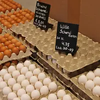 Des œufs bruns vendus l'été dernier à 17,5 centimes pièce par plateau de 30 et à 25 centimes en boîte de 10
