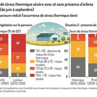 Graphique = Proportion de jours de stress thermique sévère avec et sans présence d’arbres pour la région Aura (de juin à septe