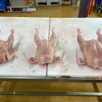3. Avec trois catégories de volailles abattues (femelles de 2,5 kg, mâles semi-lourds de 2,8 kg et lourds de 3,1 kg), le poids