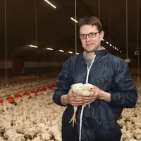 Aymeric Pothier, éleveur de poulet lourd dans le Morbihan : « L'élevage de poulets lourds 100% mâles est plus facile à gé