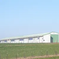 Euralis veut redynamiser sa filière Volaille et propose une offre diversifiée aux éleveurs dont la production de poulet standa