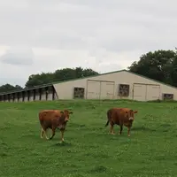 bâtiment pondeuses biologiques Le Gouessant jardin d'hiver aménagement paysager polyculture élevage vaches