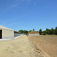 William Thomas a fait le choix du jardin d’hiver, pour donner à ses poules un accès à l’extérieur tout en les protégeant des p