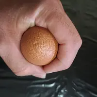 oeuf avec coquille rugueuse