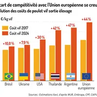 Graphique = L'écart de compétitivité avec l'Union européenne se creuseÉvolution des coûts de poulet vif sortie éleva