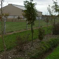 Implanter les haies qui longent les parcelles à bonne distance de la clôture facilite l’entretien.