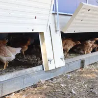 L’installation est connectée à un panneau photovoltaïque qui fournit le courant nécessaire pour ouvrir les trappes.