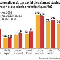 Graphique = Des consommations de gaz par lot globalement stablesConsommation de gaz selon la production (kg/m2/lot)
