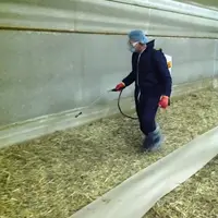 Le traitement est appliqué dans le bas des murs et au niveau des lignes d’alimentation.
