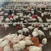 Le bien-être animal et l’environnement sont rarement cités comme priorités premières, non par désintérêt, mais parce qu’ils so