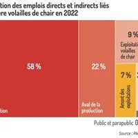 Graphique = Répartition des emplois directs et indirects liés à la filière volailles de chair en 2022