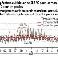 <em class="placeholder">Graphique = Une température extérieure de 41,8 °C pour un ressenti de 25,8 °C pour les poulesCourbes enregistrées sur le boîti