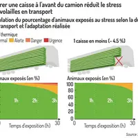 Graphique = Retirer une caisse à l'avant du camion réduit le stressdes volailles en transportSimulation du pourcentage d&