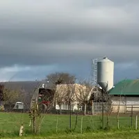 Une nouveauté lors des dépeuplements est la pose d’une couverture au-dessus des sorties des bâtiments pour empêcher les plumes