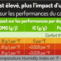 Plus le stress thermique est élevé, plus l’impact d’un degré de THI (1) augmente  Impact du stress thermique sur les performances du canard Pékin  not