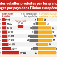 Part des volailles produites par les grands élevages par pays dans l'Union européenne