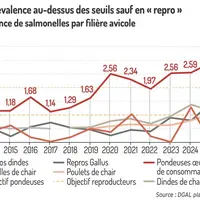 Graphique = Une prévalence au-dessus des seuils sauf en « repro »Prévalence de salmonelles par filière avicole