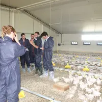 <em class="placeholder">Journaliste dans un bâtiment de poulet de chair</em>