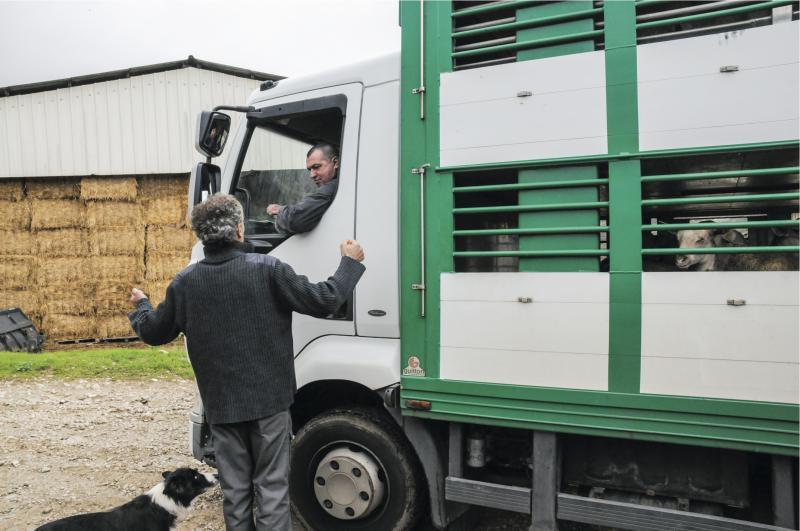 Coronavirus : Continuité des activités agricoles | Agriculture Massif ...