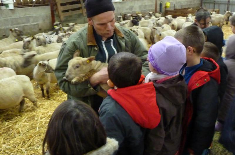 Une Ferme, Une école « Une ferme, une école » ou comment faire