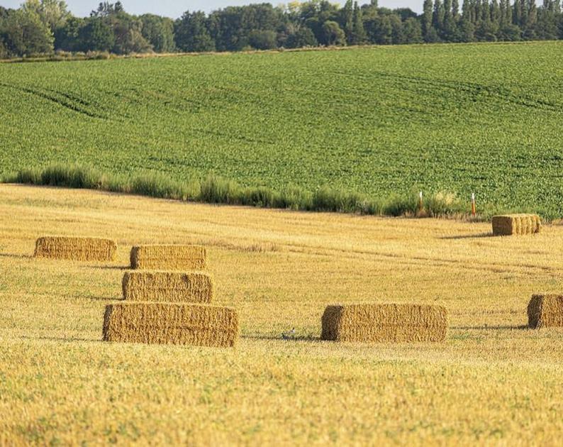 Bruxelles Propose Des Mesures Supplémentaires Pour Lagriculture Agriculture Massif Central 2566