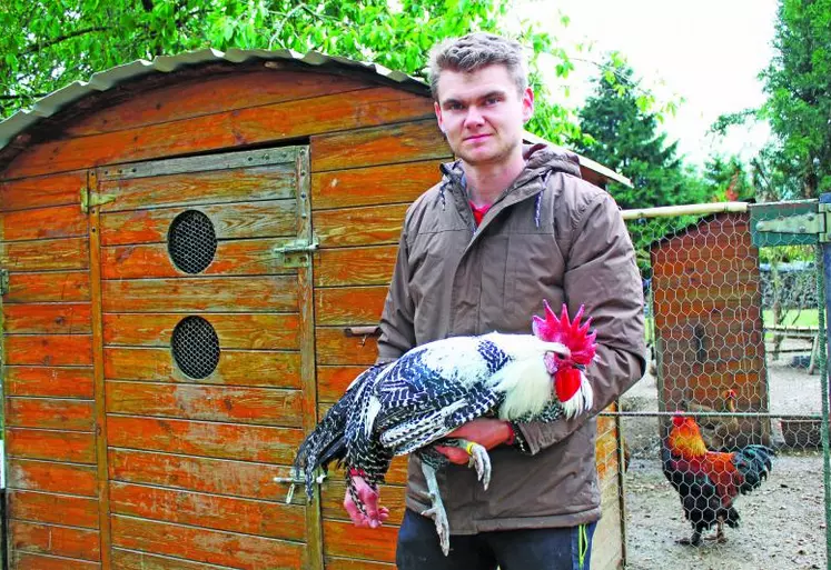 Thibaut est devenu un fin connaisseur des différentes races. Dans ses bras, un coq Braekel argenté.