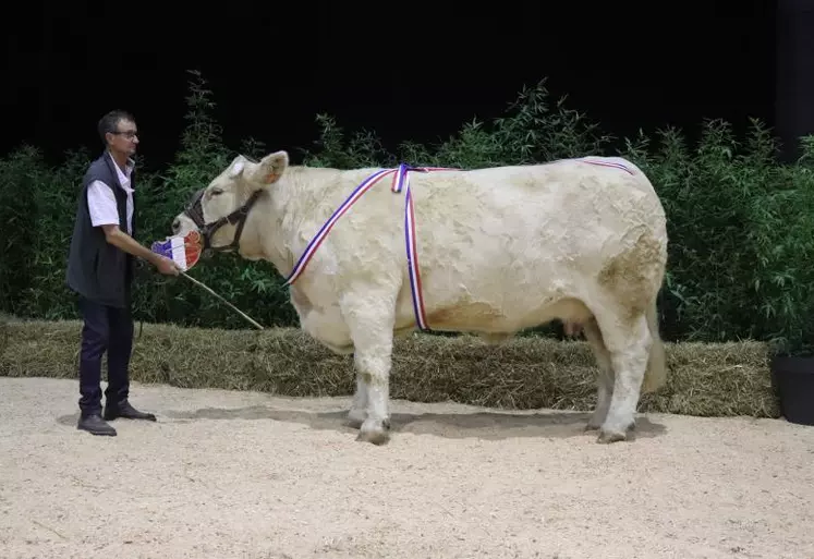 Prix d’honneur vaches adulte pour « Olympiade », appartenant à Denis Corneloup, Avrilly (03).