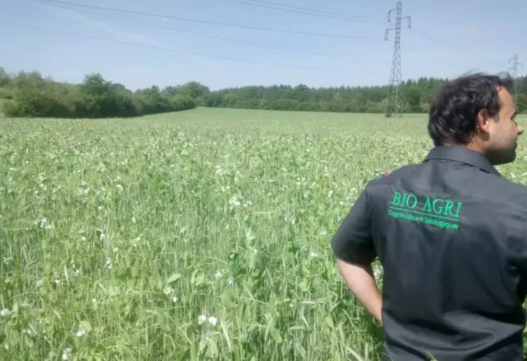 BioAgri travaille avec les céréaliers bio historiques et fournit 
du conseil technique.