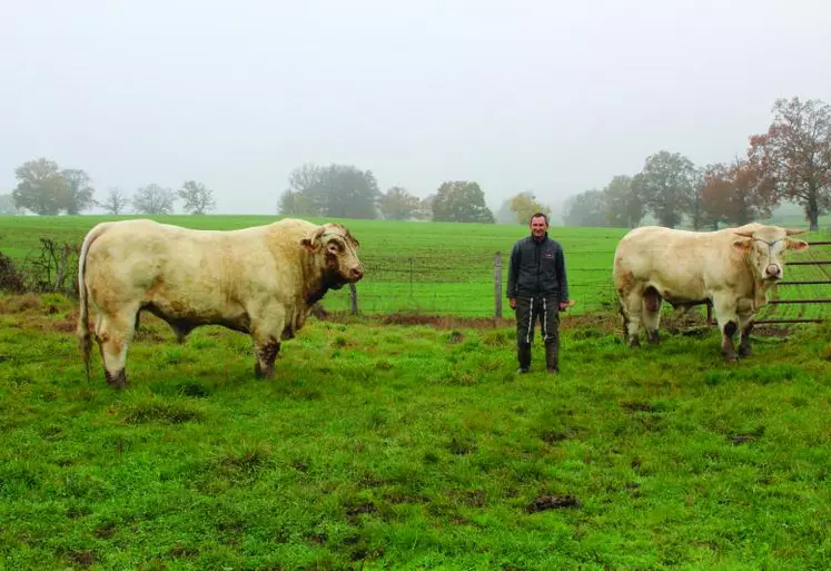 « Richelieu », deux ans et « Pandor », trente mois. Des mâles qui seront présents lors du Concours Général Agricole de Moulins.