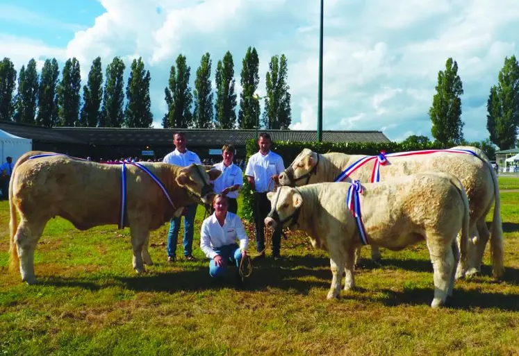 Les plaques sont nombreuses sur les murs de l'exploitation du Petit Lac. Parmi celles dont Sabrina, Laurent et Romain sont les plus fiers c'est sans nul doute celle du prix d'Honneur Junior 18 mois 
« Helvétie » qui  a été championne à Paris en 2020 mais aussi celle, toute blanche, du Super prix d'Honneur obtenue à Moulins en 2013 par le taureau « Flaubert ». Ici, sur la photographie, « Régente », prix d'Honneur Junior Réserve, 
« Martinique », grande championne adulte et « ...